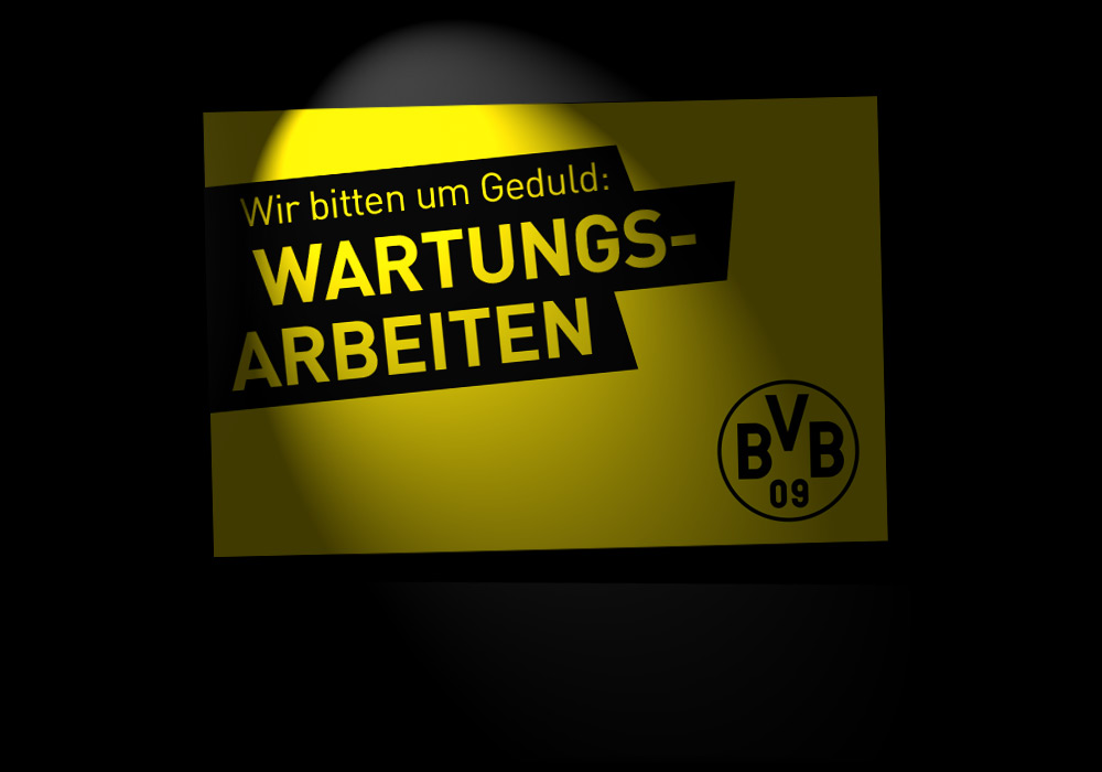 Wartungsarbeiten / Maintenance in progress